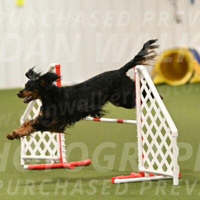 Journey-Candi-Gelis-10465