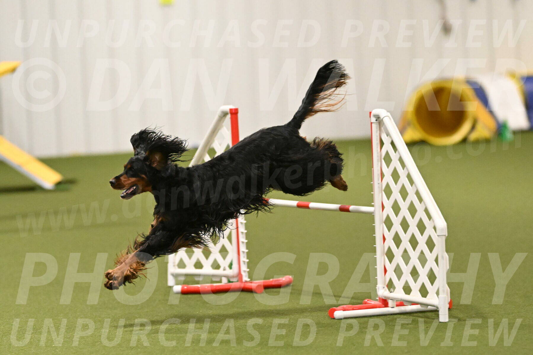 Journey-Candi-Gelis-10466