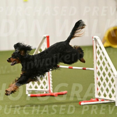 Journey-Candi-Gelis-10466