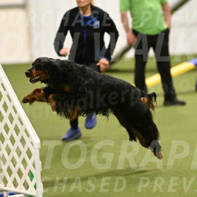 Journey-Candi-Gelis-10467