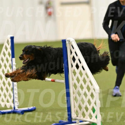 Journey-Candi-Gelis-10468