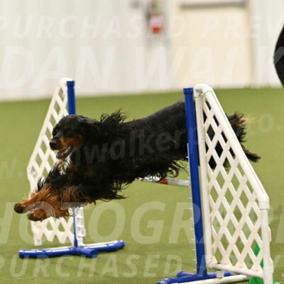 Journey-Candi-Gelis-10469