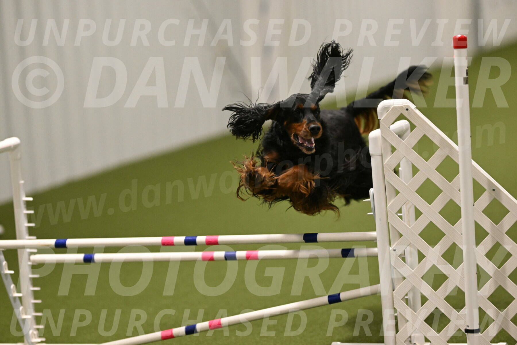 Journey-Candi-Gelis-10470