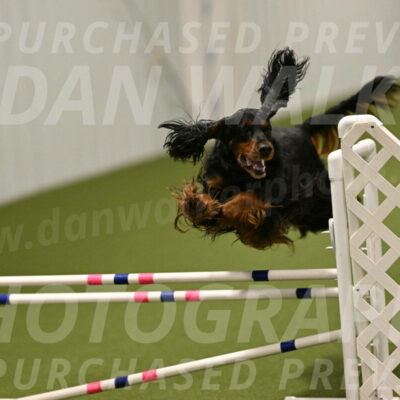 Journey-Candi-Gelis-10470