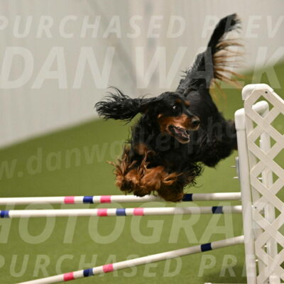 Journey-Candi-Gelis-10471