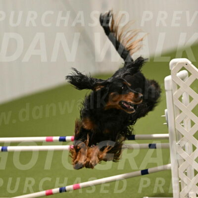 Journey-Candi-Gelis-10472