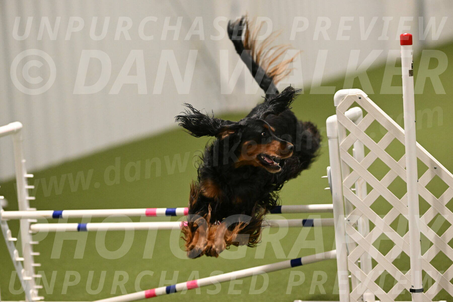 Journey-Candi-Gelis-10472