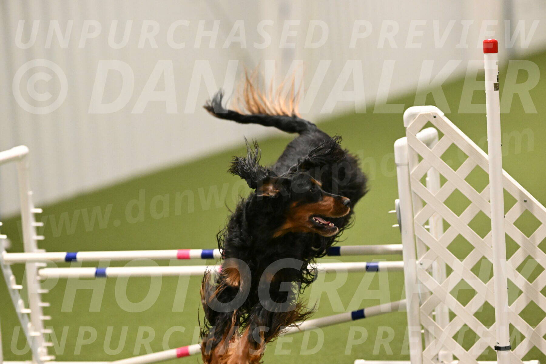 Journey-Candi-Gelis-10473