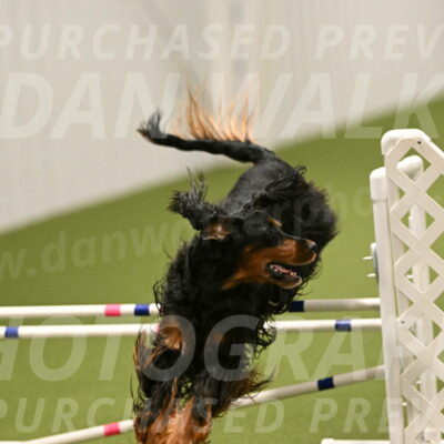 Journey-Candi-Gelis-10473