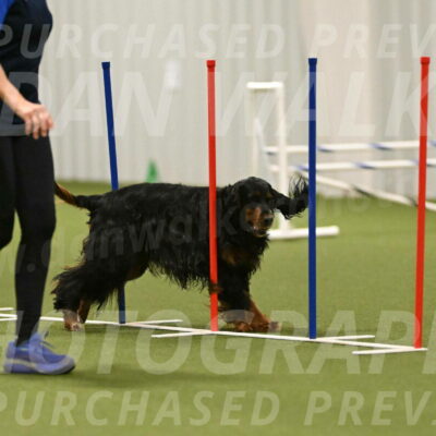 Journey-Candi-Gelis-10474