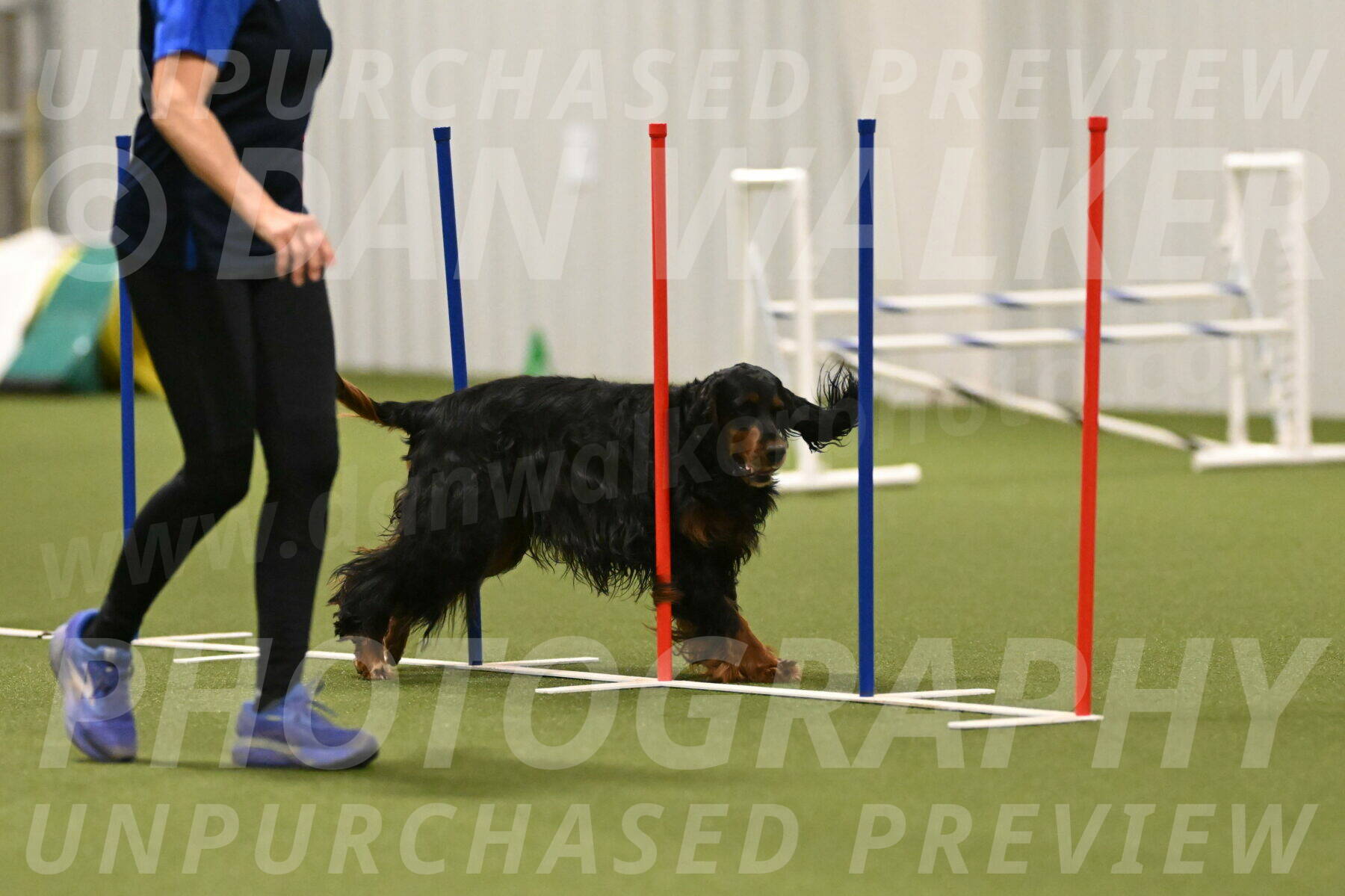 Journey-Candi-Gelis-10474