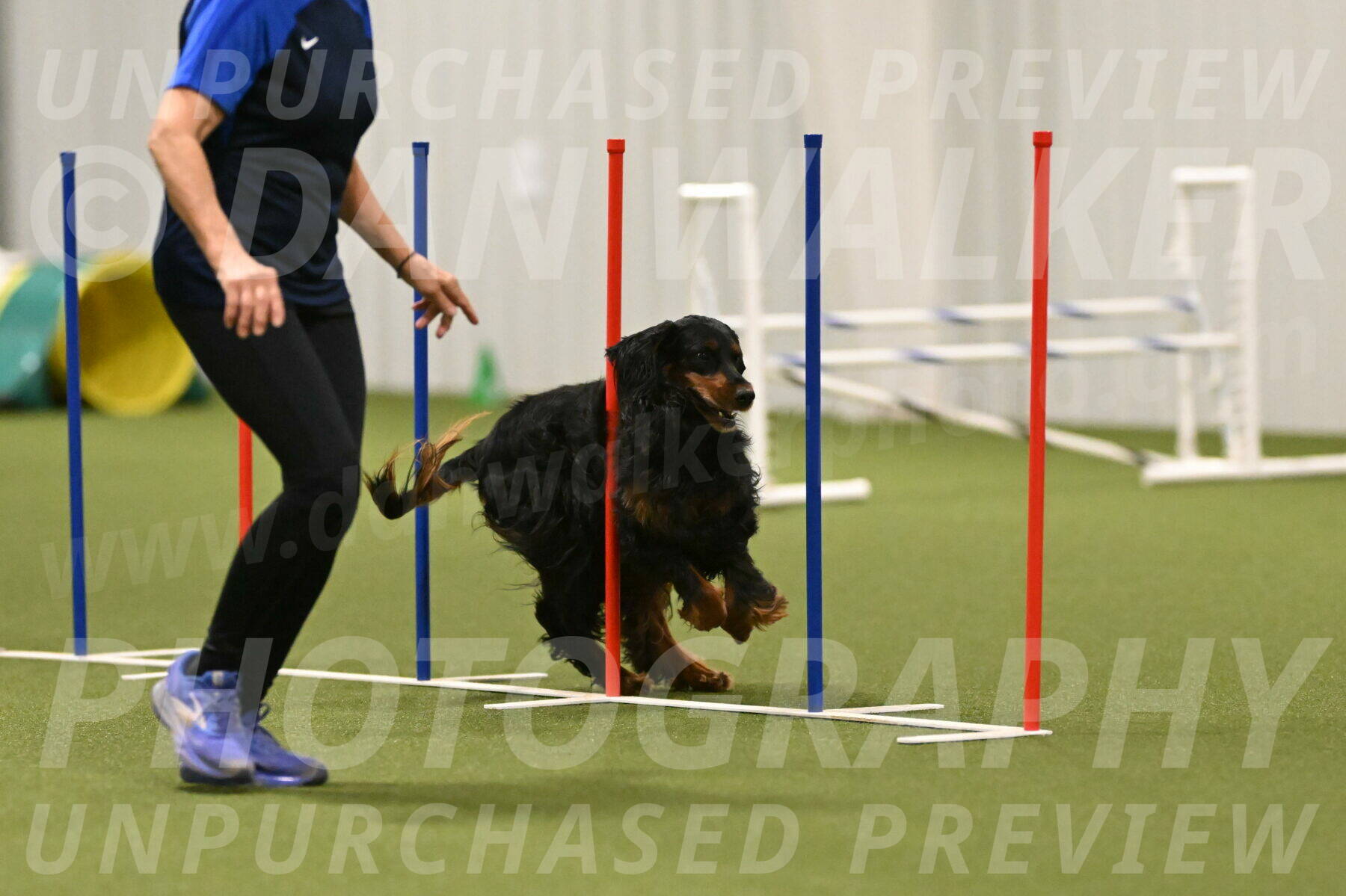 Journey-Candi-Gelis-10475