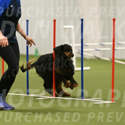 Journey-Candi-Gelis-10475