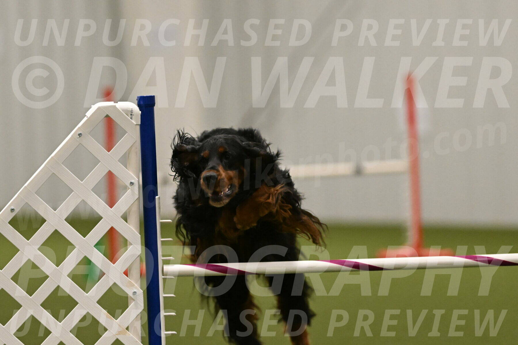 Journey-Candi-Gelis-10476