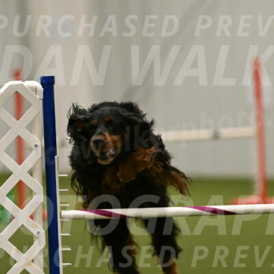 Journey-Candi-Gelis-10476