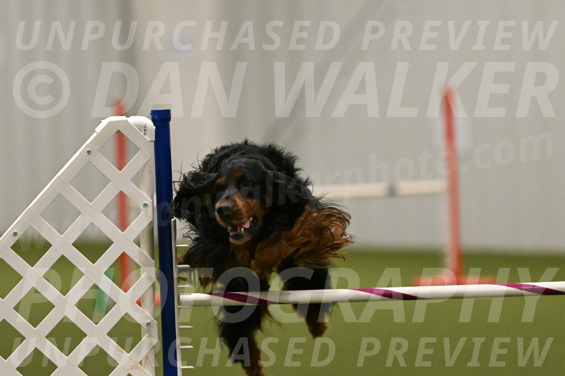 Journey-Candi-Gelis-10477