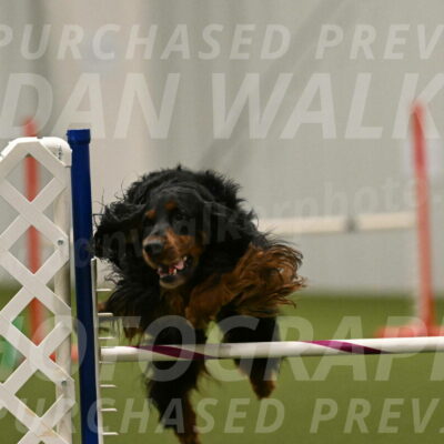 Journey-Candi-Gelis-10477