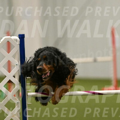 Journey-Candi-Gelis-10478