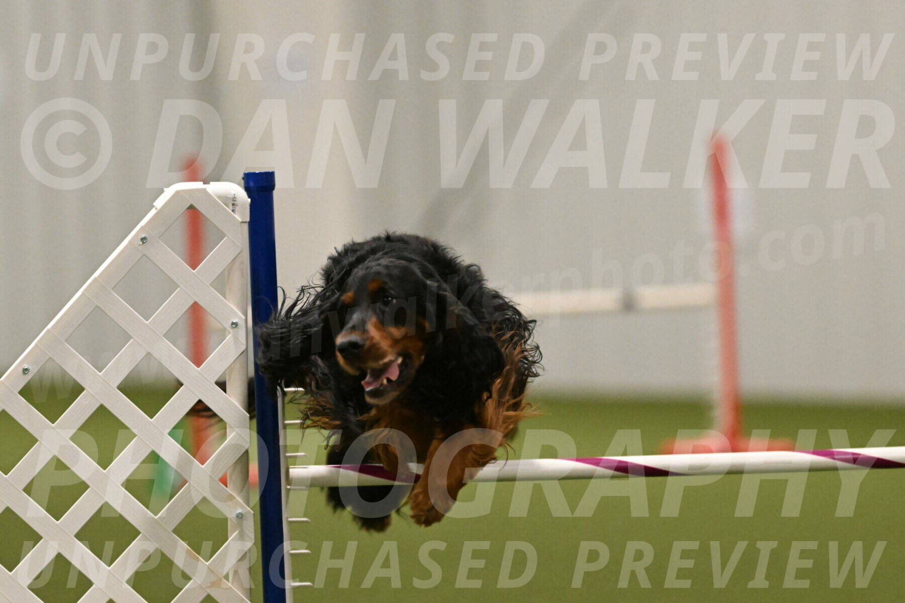 Journey-Candi-Gelis-10478