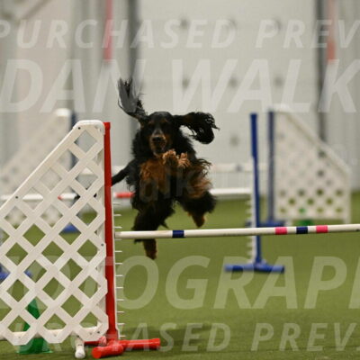 Journey-Candi-Gelis-10479