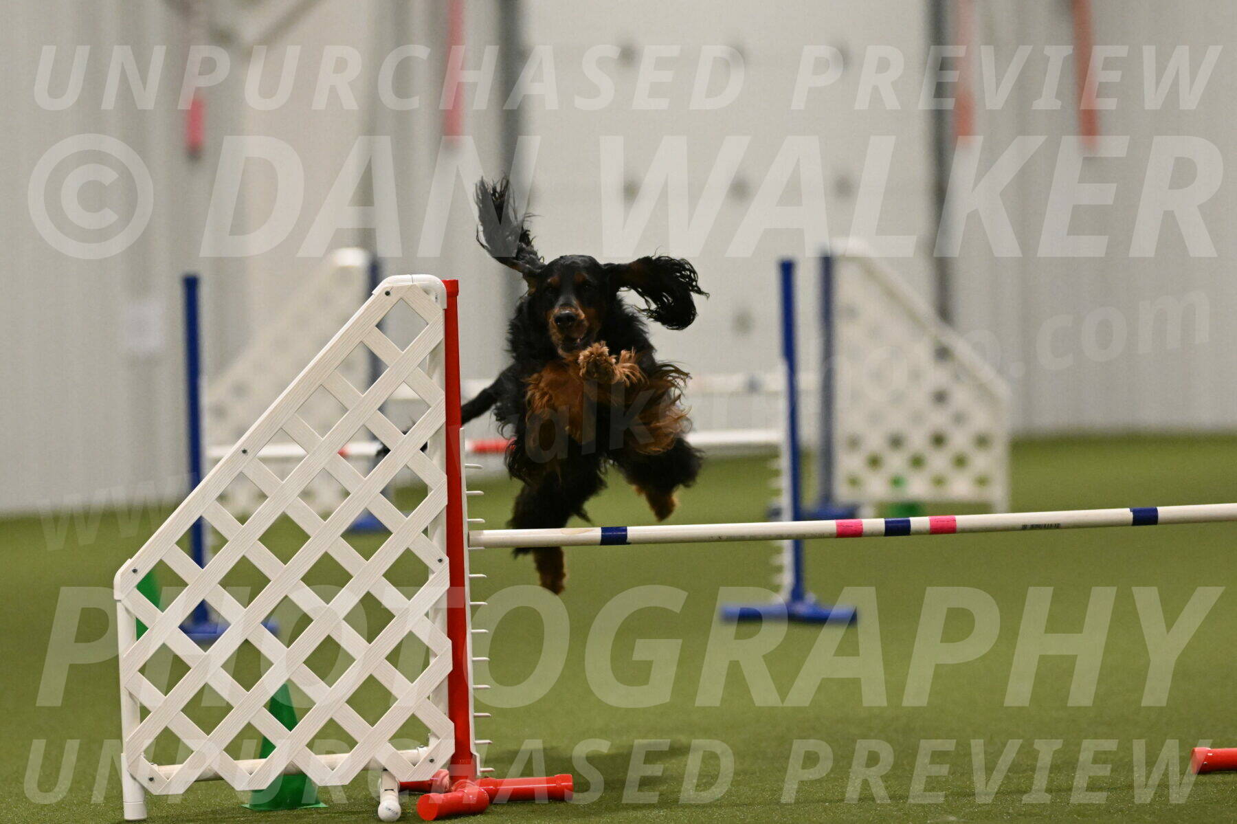 Journey-Candi-Gelis-10479