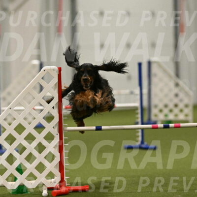 Journey-Candi-Gelis-10480