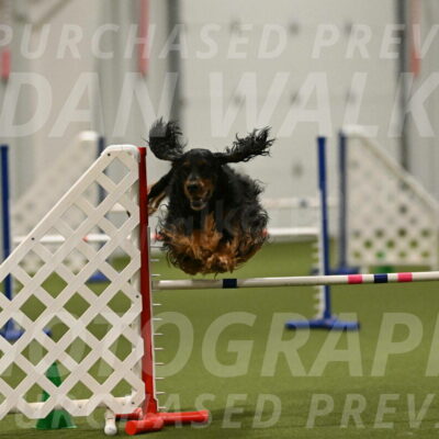 Journey-Candi-Gelis-10481