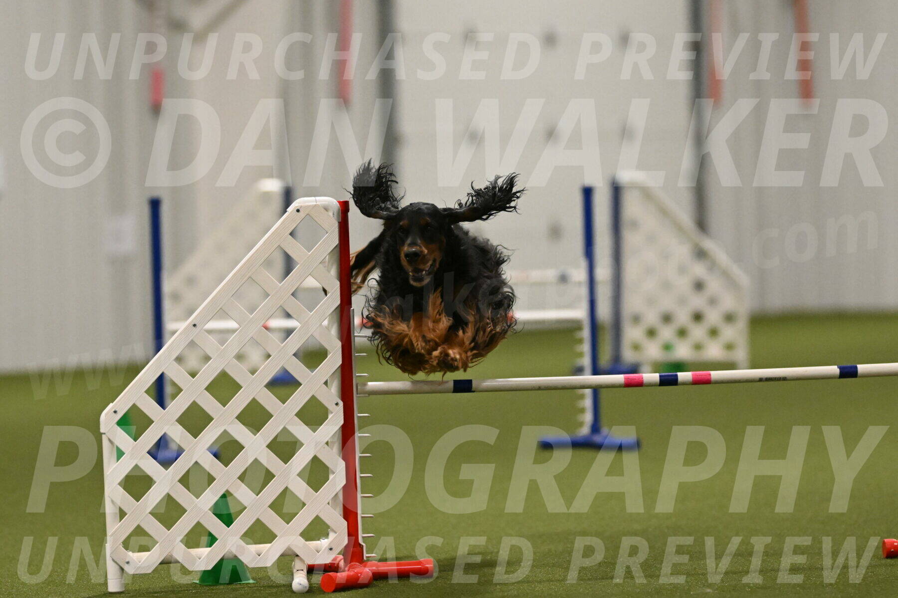 Journey-Candi-Gelis-10481