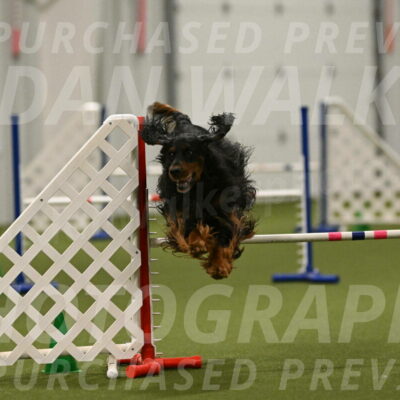 Journey-Candi-Gelis-10482