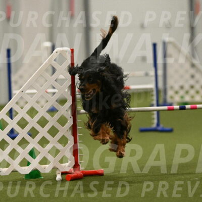 Journey-Candi-Gelis-10483