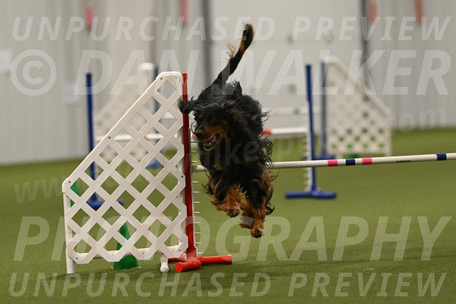 Journey-Candi-Gelis-10483