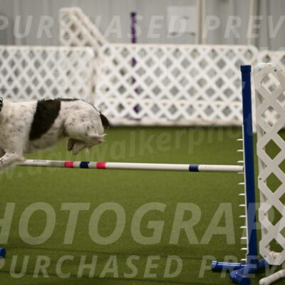 Karma-Sandy-and-Jeff-Crighton-03281