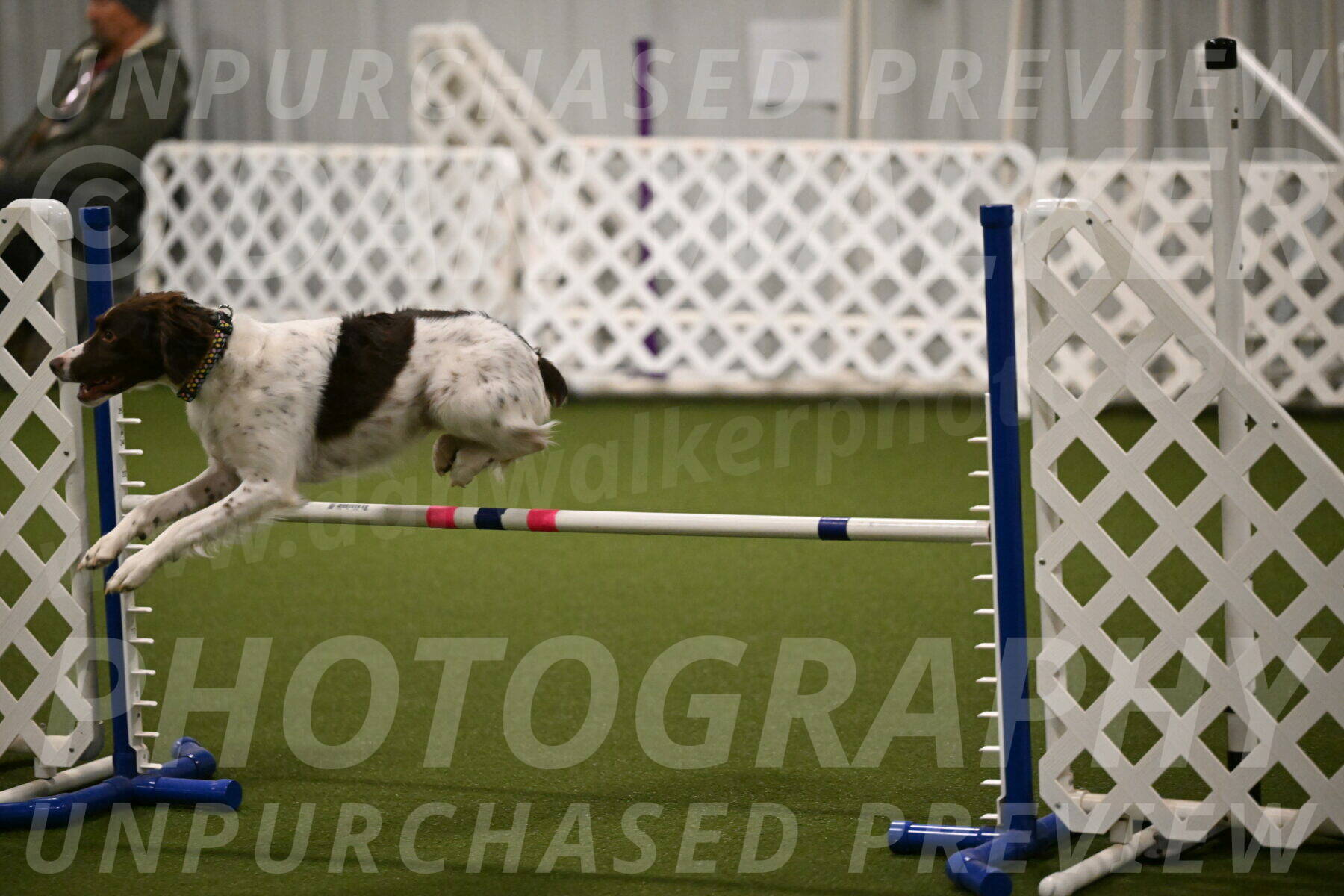 Karma-Sandy-and-Jeff-Crighton-03281