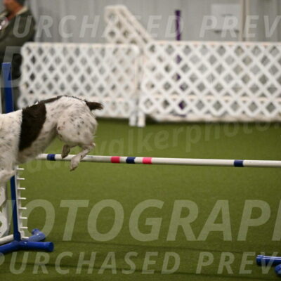 Karma-Sandy-and-Jeff-Crighton-03282