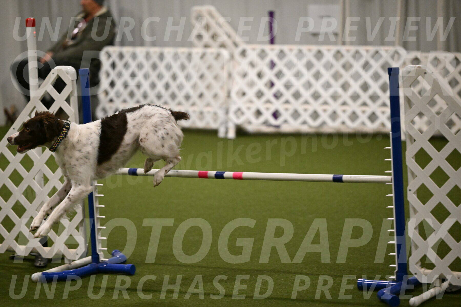 Karma-Sandy-and-Jeff-Crighton-03282