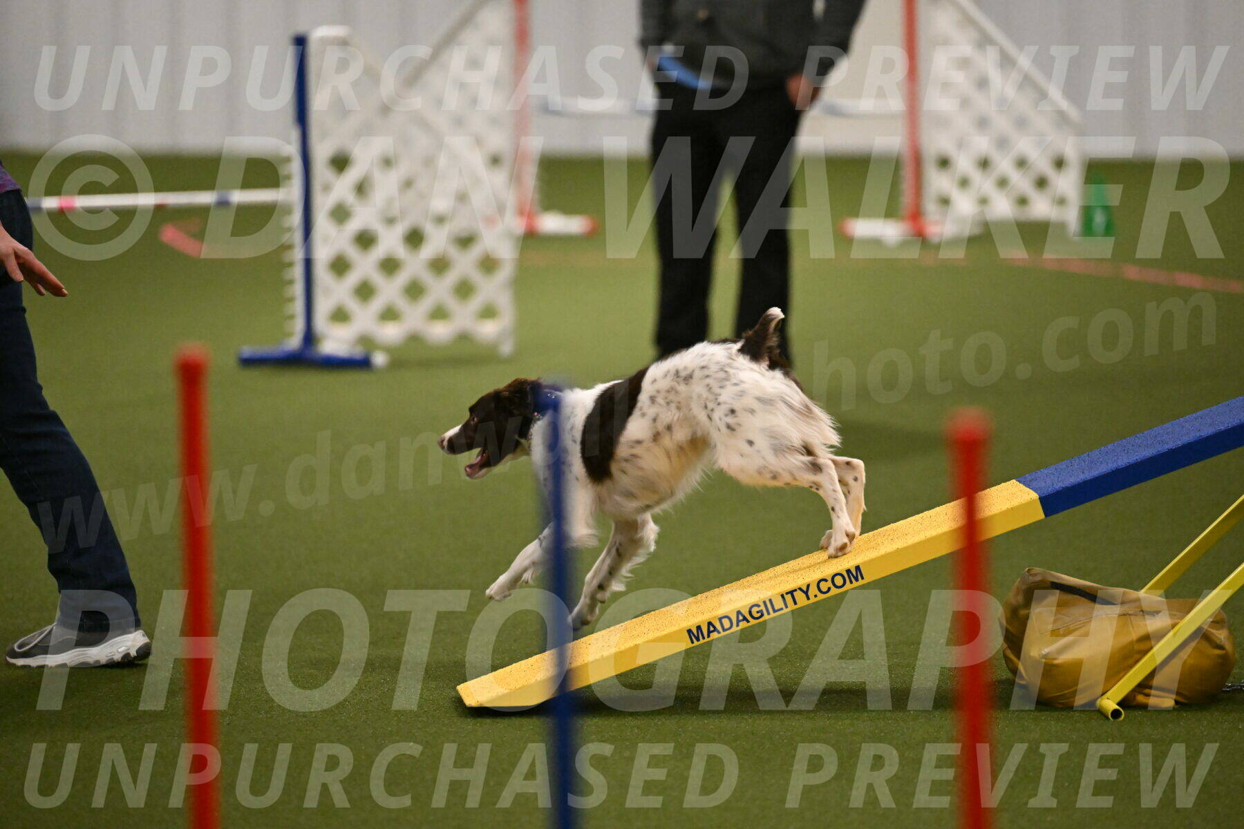 Karma-Sandy-and-Jeff-Crighton-03283