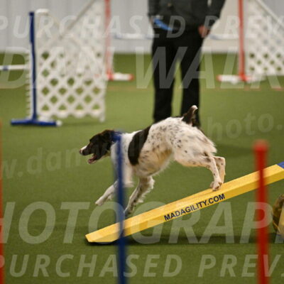 Karma-Sandy-and-Jeff-Crighton-03283