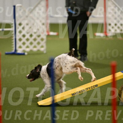 Karma-Sandy-and-Jeff-Crighton-03284