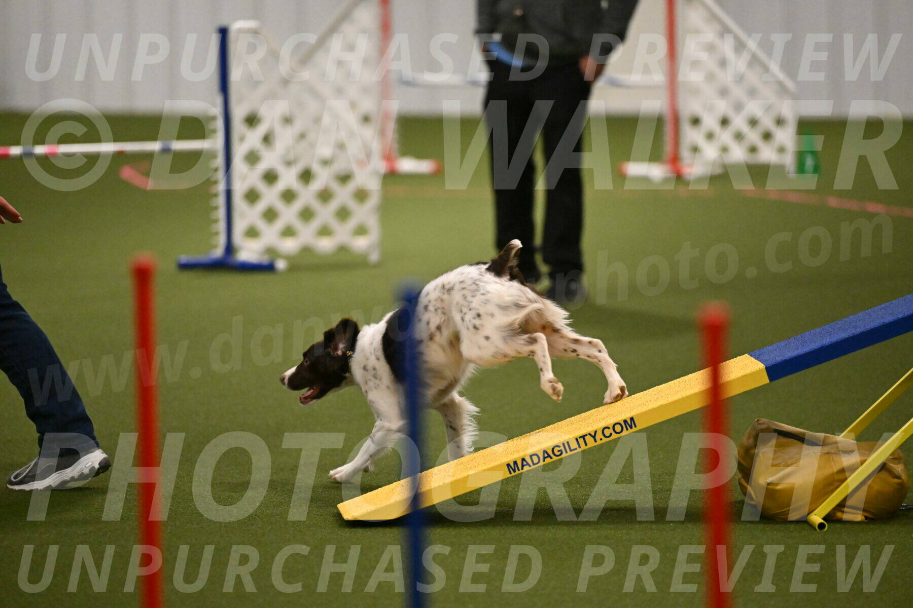 Karma-Sandy-and-Jeff-Crighton-03284