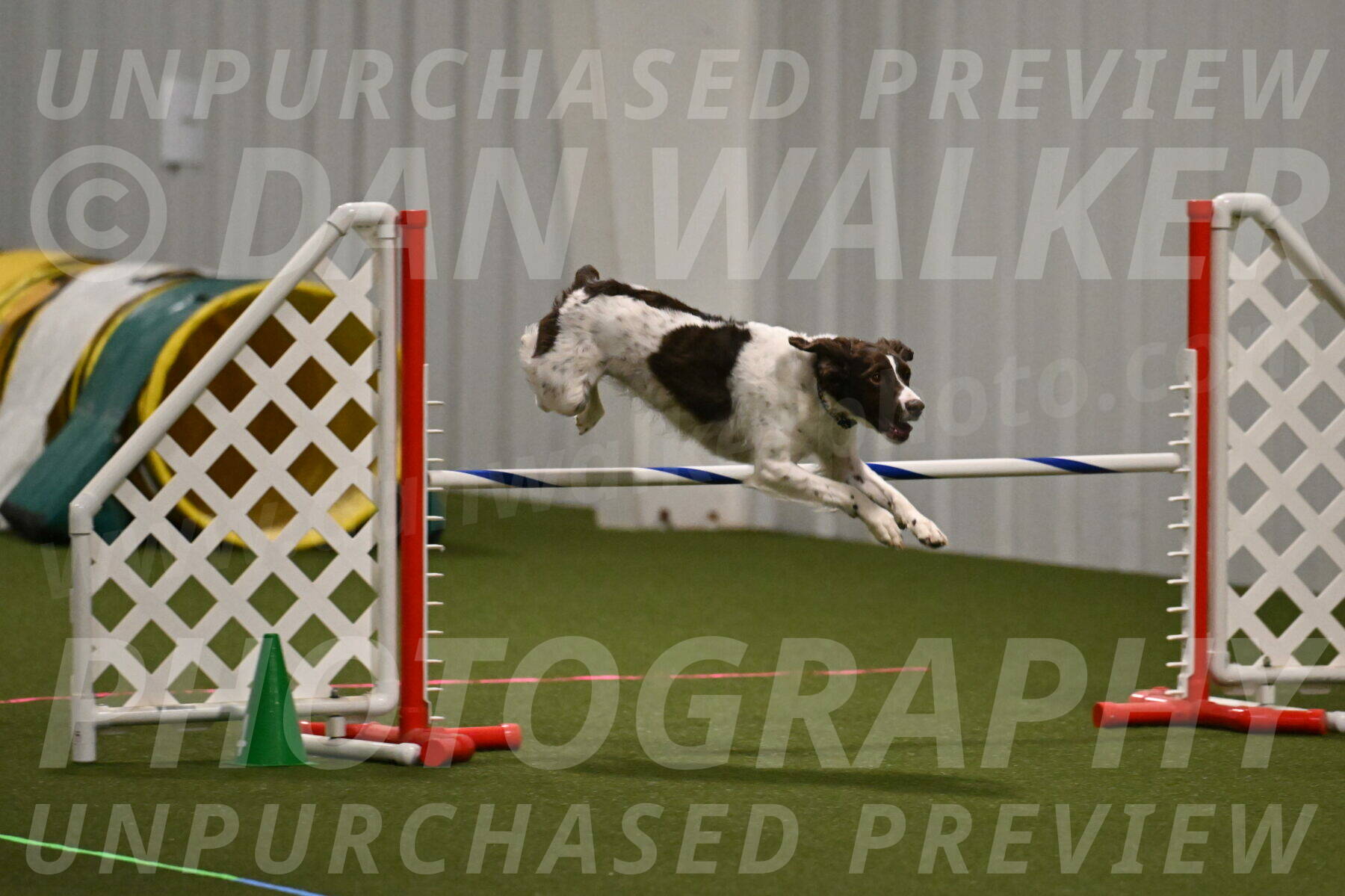 Karma-Sandy-and-Jeff-Crighton-03285