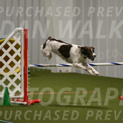 Karma-Sandy-and-Jeff-Crighton-03285