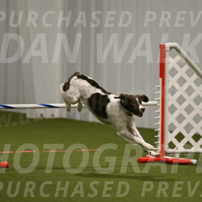 Karma-Sandy-and-Jeff-Crighton-03286