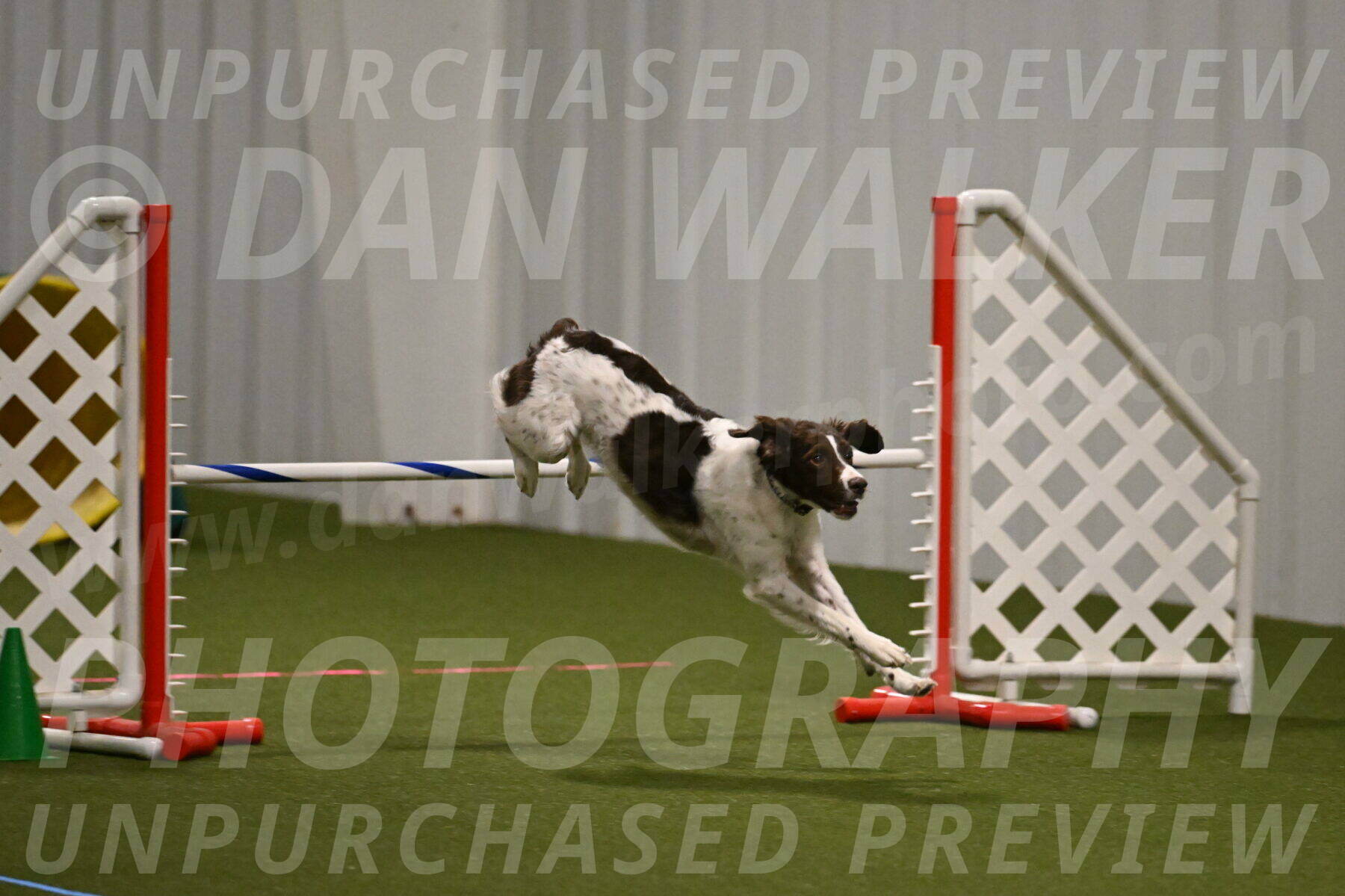 Karma-Sandy-and-Jeff-Crighton-03286