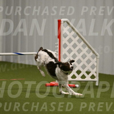 Karma-Sandy-and-Jeff-Crighton-03287