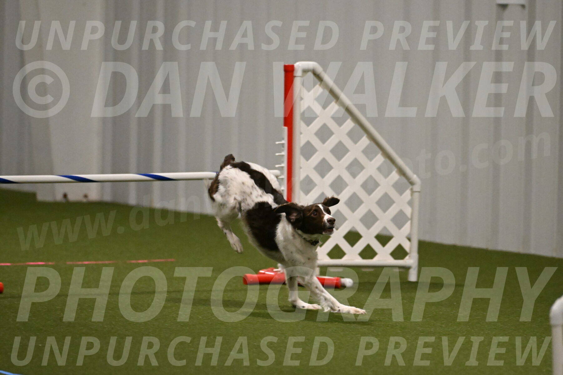 Karma-Sandy-and-Jeff-Crighton-03287