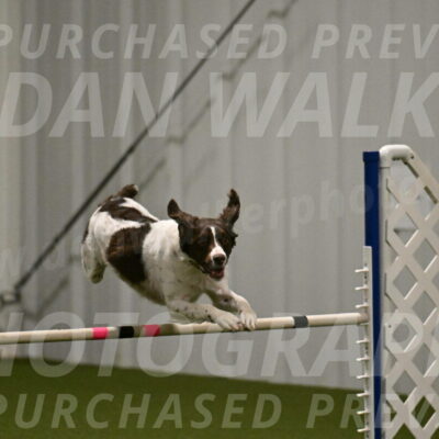 Karma-Sandy-and-Jeff-Crighton-03288