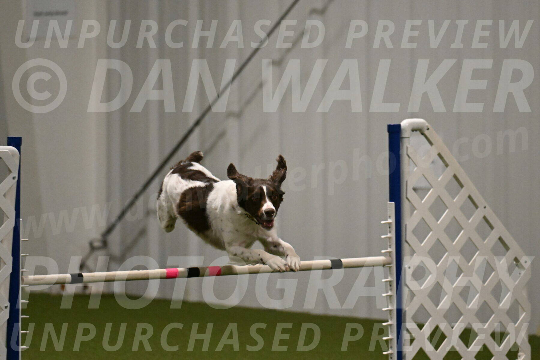 Karma-Sandy-and-Jeff-Crighton-03288