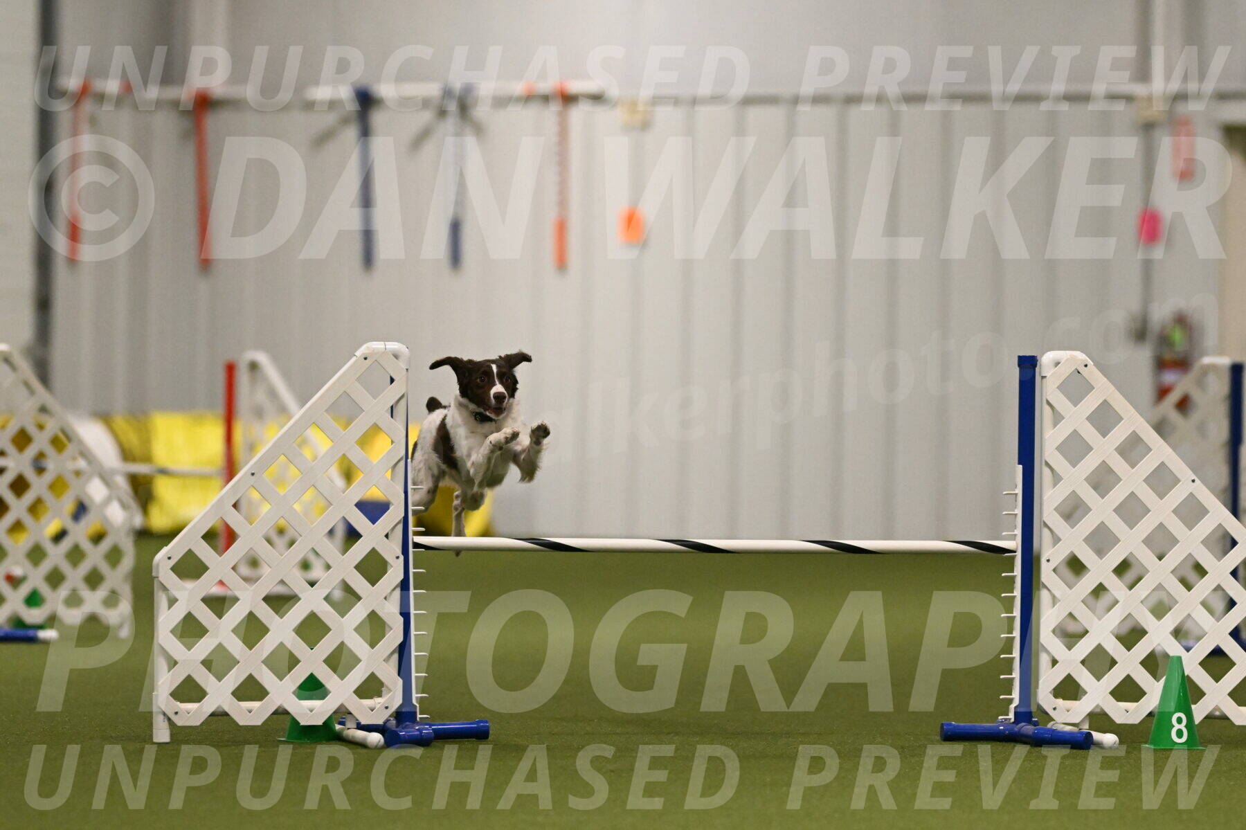 Karma-Sandy-and-Jeff-Crighton-03289