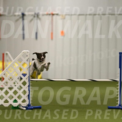 Karma-Sandy-and-Jeff-Crighton-03289