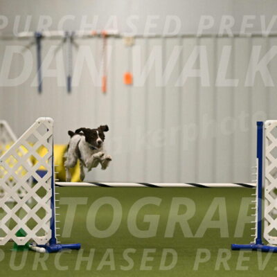 Karma-Sandy-and-Jeff-Crighton-03290